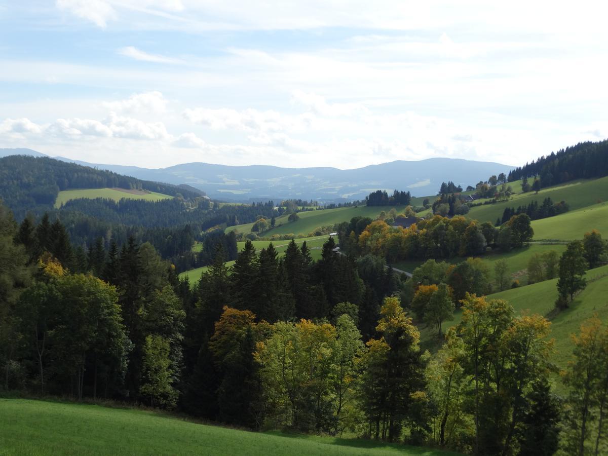 Готель Roseggerhof Sankt Kathrein am Hauenstein Екстер'єр фото